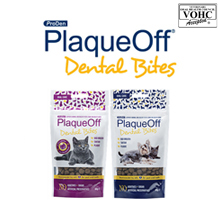 PlaqueOff dental bites ||